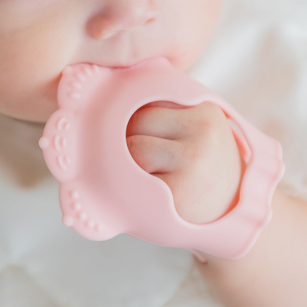 Meow Teether