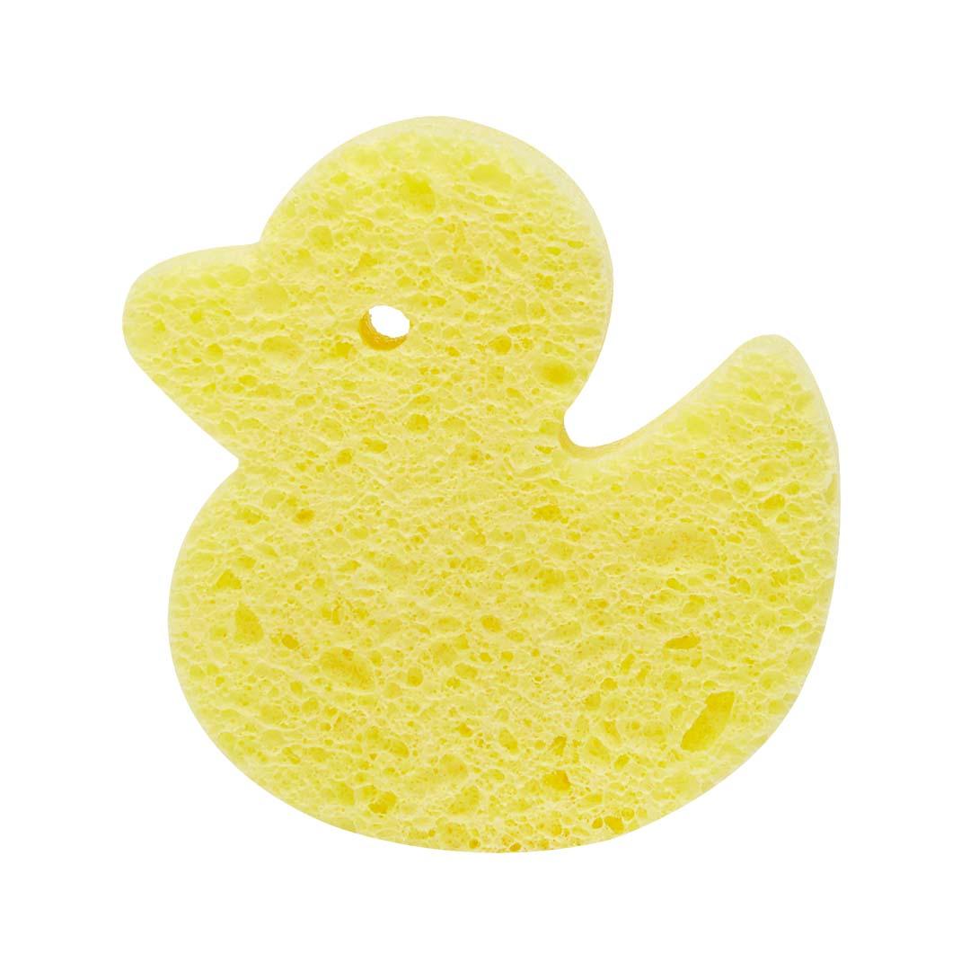 Magic Sponge