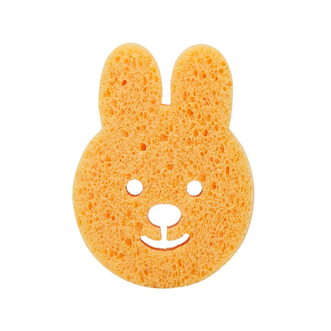 Magic Sponge