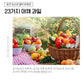 Healthy Jelly Set - Bundle of 3 Flavors